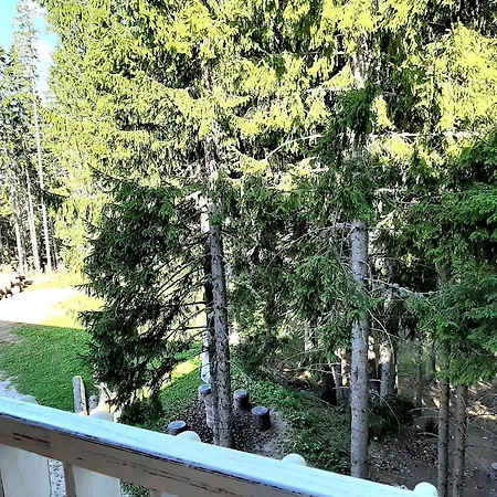Apartman Karlin *
